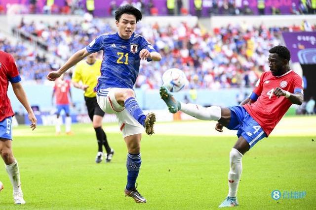 动人的并不 动人的并不